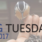 2017-Giving-Tuesday-Slider—with-CPBC-logo