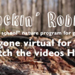 2020-Virtual-Rockin-Robins-banner